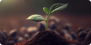 Emitimos o 1º  CRA do Brasil com remuneração variável